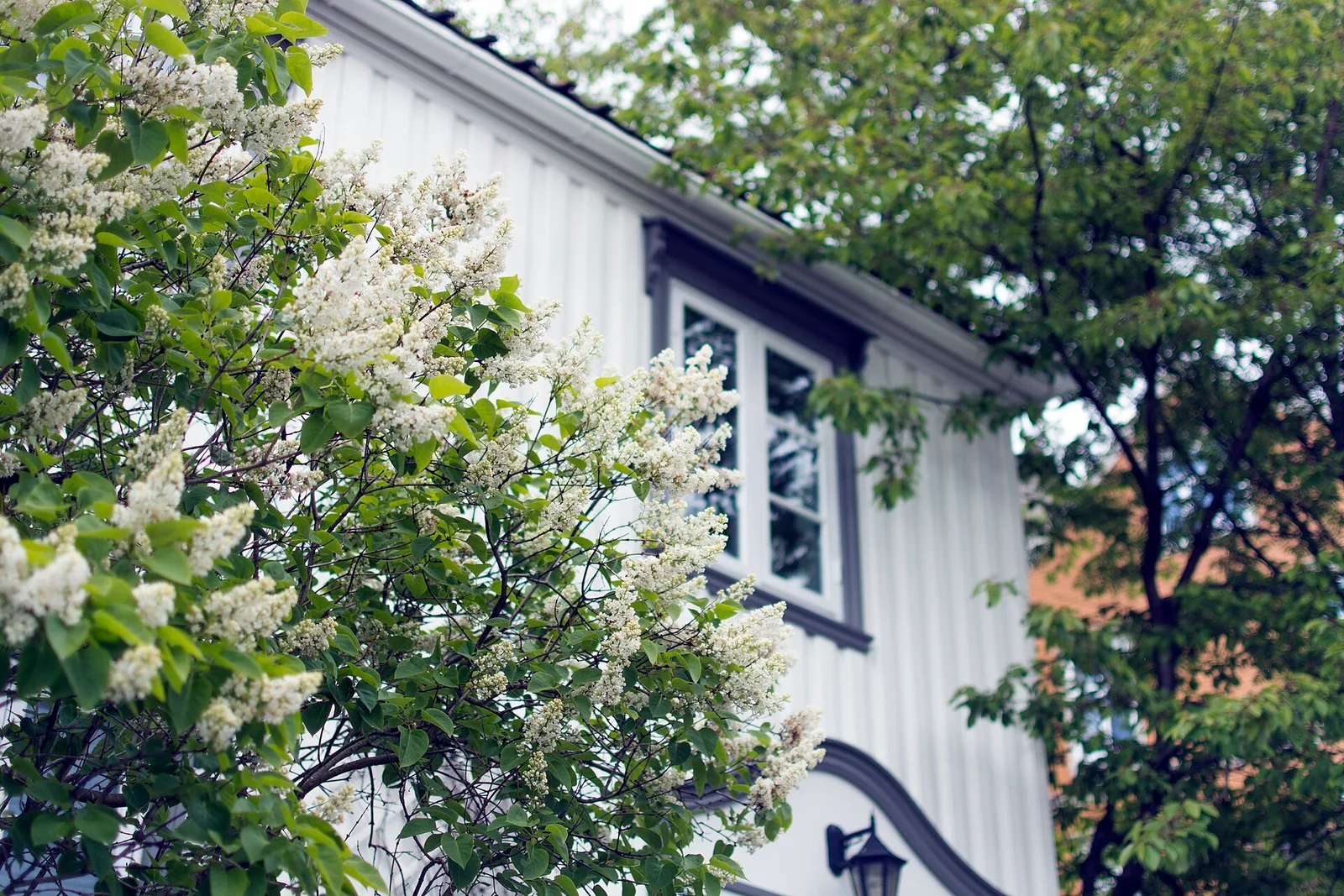 Μονοκατοικία στην περιοχή Κέντρο Αθήνας — Living