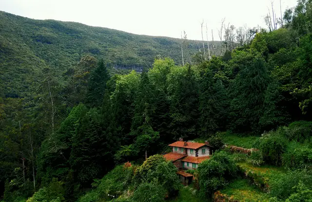 Βίλα με πισίνα στο Ψυχικό — Living